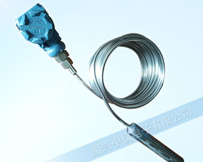 ZYK24K鎧裝投入式液位計(jì)